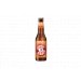 Jopen Mooie Nel IPA Fles 12x33CL 