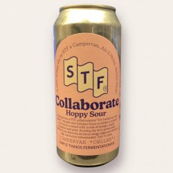 Simple Things Fermentations Hoppy Sour - STF X Campervan