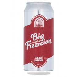 Vault City Brewing Big Fizzician