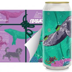 Wander Beyond X Finback  Pablo and the whale - The Cat In The Glass