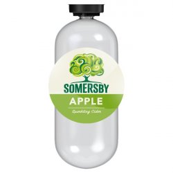 Somersby Apple Cider DraughtMaster 20ltr PET Keg - Liquor Library