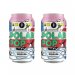 Brussels Beer Project Polar Pop Can 33cl x 2 