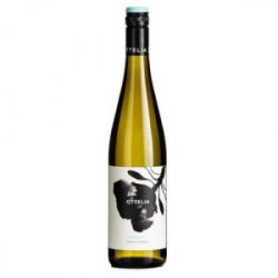 OTTELIA 2021 Riesling Mount Gambier - Craftissimo