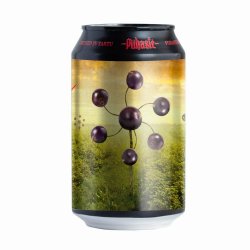 Pühaste Brewery - Momentum: Blackcurrant Imperial Baltic Porter - The Beer Barrel