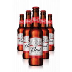 Budweiser Cassa da 24 bottiglie x 33cl - Bernabei