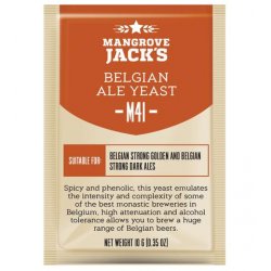 M41 Belgian Ale Yeast (10g) - waterintobeer