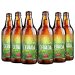 Kit Bruder Alma Cevada Session Ipa 600ml - 6 unidades Kit Bruder Alma Cevada Session Ipa 600ml - 6 unidades