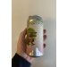 Sureshot Brewing Company The Future Is Being Made Today IPA Sureshot Brewing Company The Future Is Being Made Today IPA