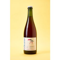 Sacrilège Framboise 2024 - Buvance