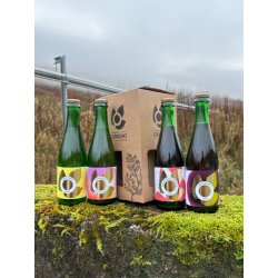 Origins Brewing Collection 7 Gift Pack - Fyne Ales