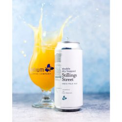 Trillium Brewing Company Double Dry Hopped Stillings Street Trillium Brewing Company Double Dry Hopped Stillings Street