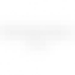 Maine Beer Company Son of Sapping Mammoth