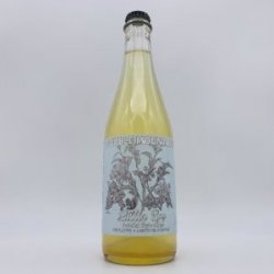 Double Mountain Little Spy Pet-Nat Cider 500ml - Bottleworks