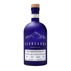 Gin 750ml  Aconcagua - Pinta en Casa