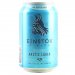 Einstok Icelandic Arctic Lager 