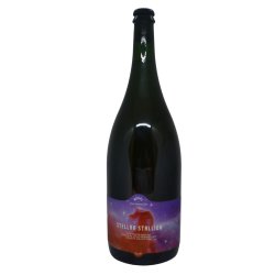 Nevel - Stellar Stallion - Magnum - De Hoppenaar