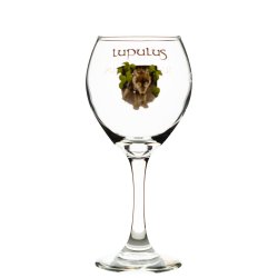 Glas Lupulus 25Cl - Belgian Beer Heaven