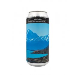 Noiseless RT#10 - Hazy Pale Ale