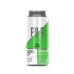 Buddelship - Citra Callista - Pilsner - Hopfnung