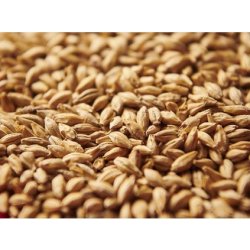 Weyermann Munich Malt Typ II (Mnichovský 2) - BO PIVO