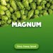 Hop cones Magnum 100 g 