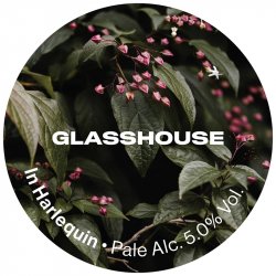 GlassHouse Beer Co In Harlequin GlassHouse Beer Co In Harlequin