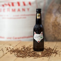 Brasserie Burdigala BarleyWine 33cl  11%vol. - Brasserie Burdigala