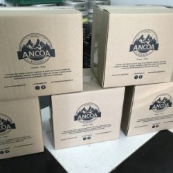 ANCOA CAJA DE 24 - Ancoa