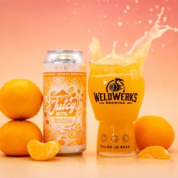 WeldWerks Brewing Co. Tangerine Juicy Bits WeldWerks Brewing Co. Tangerine Juicy Bits