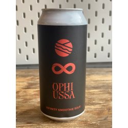 Pomona Island Brew Co. INFINITY SMOOTHIE SOUR