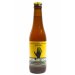 De Ranke Saison De Dottignies 