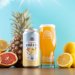 Vault City Lemon Grapefruit Pineapple Radler 