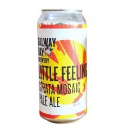 Galway Bay Little Feelings Strata Mosaic Fruity Pale Ale - Craft Beers Delivered