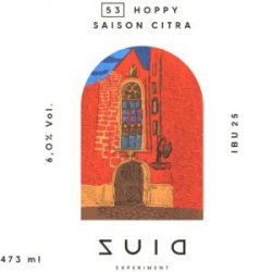 Zuid 53 I Hoppy Saison - Central da Cerveja