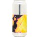 Finback Brewing Curiosity 