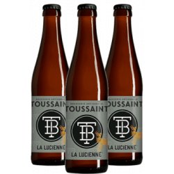 Toussaint La Lucienne – Ale – Coffret 12 bouteilles - Find a Bottle