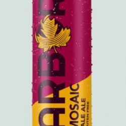 Arbor Ales Mosaic Single Hop IPA