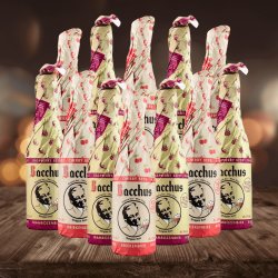 Bacchus Belgian Fruit Beer Mixed Case 375ml Bottles (12 Pack) - Beerhunter