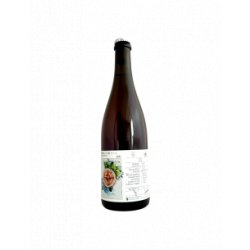 Ammonite - Vinifera VIII Gamay (2021) 75 cl - Bieronomy