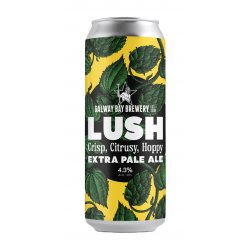 Galway Bay Lush Extra Pale Ale 44cl - Molloys