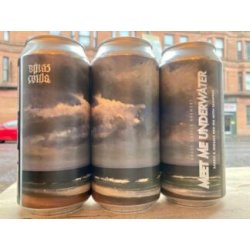 Brass Castle  Meet Me Underwater — Red IPA - Wee Beer Shop