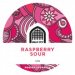 Vault City Raspberry Sour (Keg) 