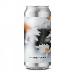 GLASSHOUSE Daisy 0,44l - Biertipp