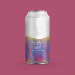 Track - Marginal Gains - 6% Blueberry & Coconut Sour - 440ml Can - The Triangle