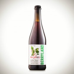 Меломель з шовковицею BERRYLAND Mulberry Sparkling Melomel Dry 0.75L - Rebrew