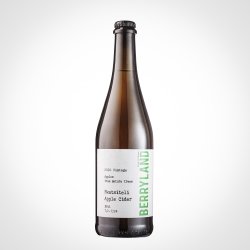 Cидр із виноградом BERRYLAND Rkatsiteli Apple Cider 2020 Vintage Brut 0.75L - Rebrew