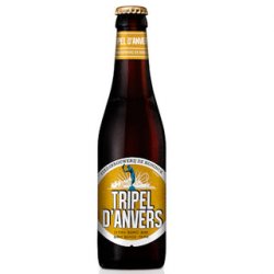 Tripel dAnvers 330ml - The Beer Cellar