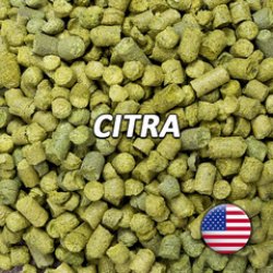 Lúpulo Citra - Yakima Chief - Silo Cervecero