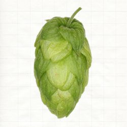 Deutschland Solero Pellets Typ 90 - Hopsteiner
