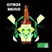 Brasserie Plormel Bière Citron Basilic 12 x 33CL  ERMIN  Bio 